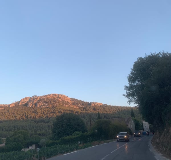 Entre les vignes de Sanary au  Castelet et du Beausset - Sanary-sur-Mer - 1