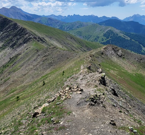 Col d'Allos - Allos - 1