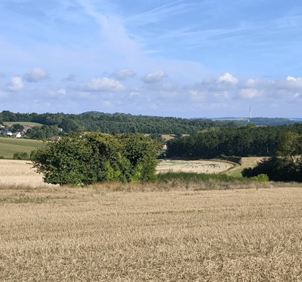 Single en forêt.. chemin et très peu de route - Sorel-en-Vimeu - 1