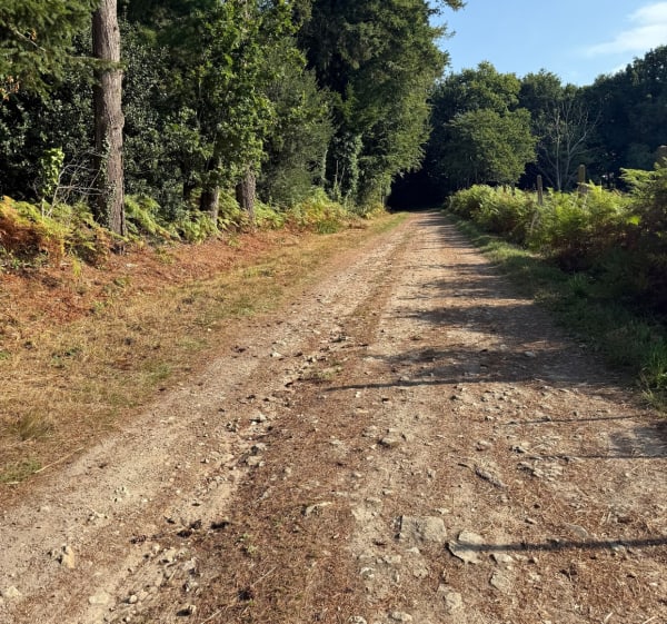 Balade entre routes et chemins à Kervignac - Kervignac - 1
