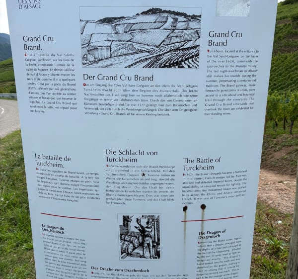 Balade dans le vignoble au-dessus de Turckheim - Turckheim - 1
