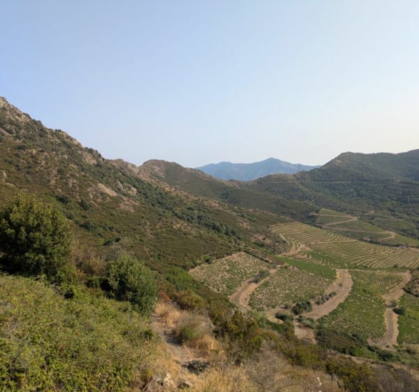 Col de Taillefer près de Collioure - Collioure - 1