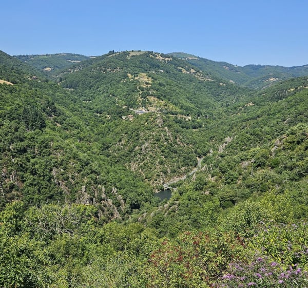 Ayssènes et sa balade nature - Ayssènes - 1