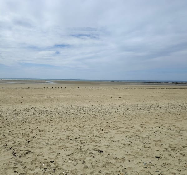Promenade à la pointe du Banc - Saint-Germain-sur-Ay - 1