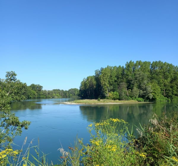 Entre 2 ponts, de Groslée et d'Evieu - Groslée-Saint-Benoit - 1
