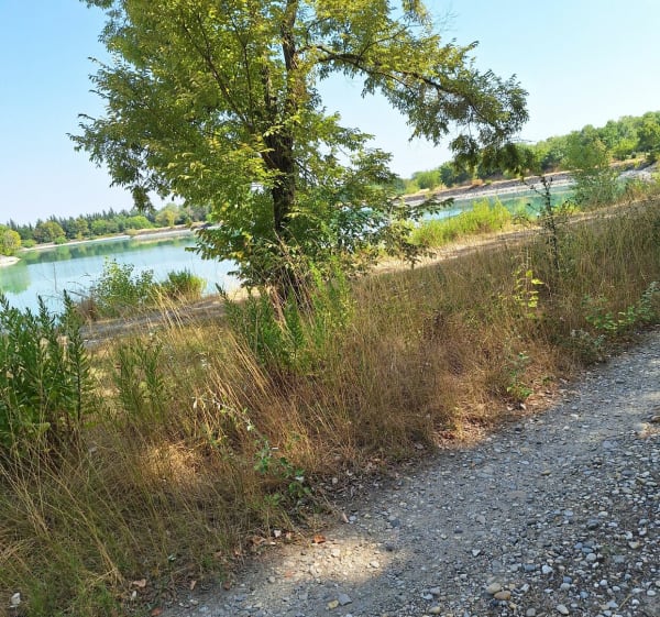 Lac et point d'eau sur la route zone d'activité du Sectar. - Bollène - 1
