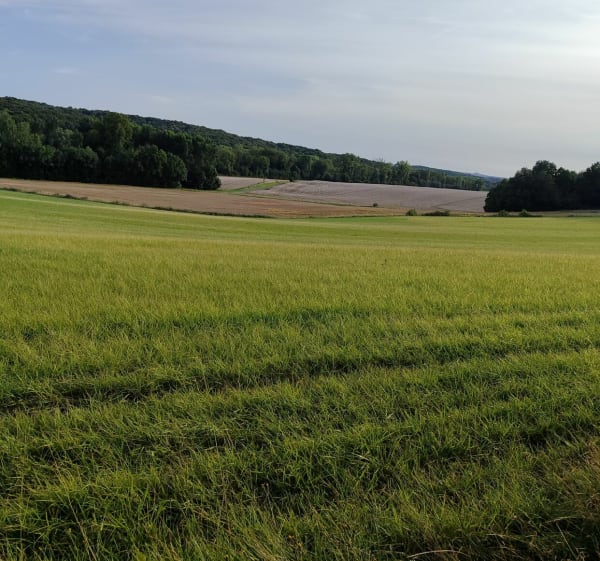 Balade autour de Saint-Erme - Géraldine  - 1