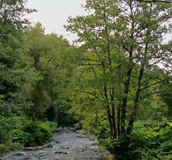 Autour de Granges-sur-Vologne - Granges-Aumontzey - 1