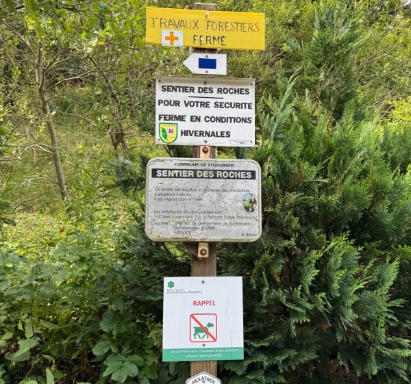 Jour 2 du trek vosgien - Soultzeren - 1
