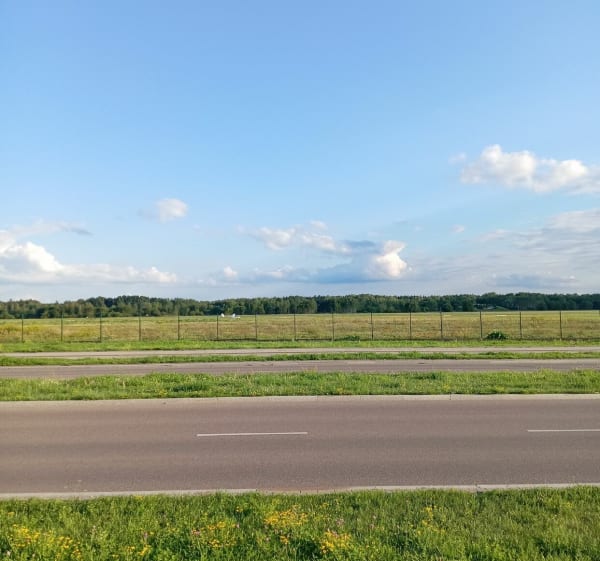 Nadleśnictwo Dojlidy - Białystok - 1