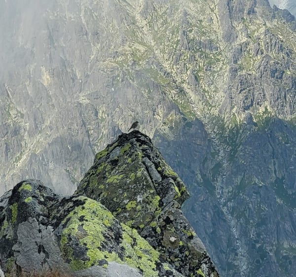 Sławkowski szczyt - Vysoké Tatry - 1