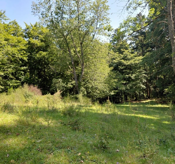 De Soultz à la Ferme Auberge du Kohlschlag - Soultz-Haut-Rhin - 1