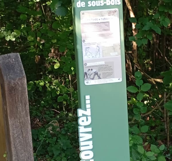 Rando du pâtis Oger - Le Mesnil-sur-Oger - 1