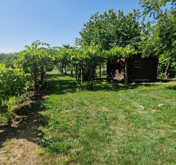 Saint-Phal et Jeugny, près de Crésantignes - Saint-Phal - 1