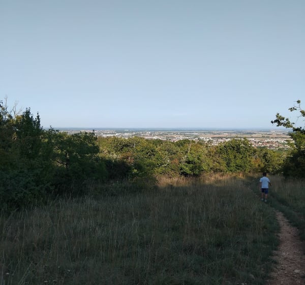 Tour du plateau de Chenôve - Marsannay-la-Côte - 1