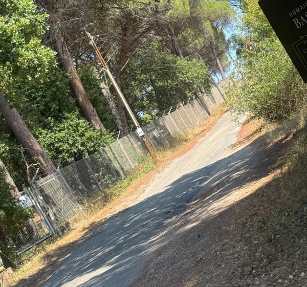 Balade tranquille en vélo au Luc - Le Cannet-des-Maures - 1