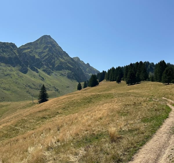 Col de la grande Treche - Col de Graydon - col des Follys - Saint-Jean-d'Aulps - 1