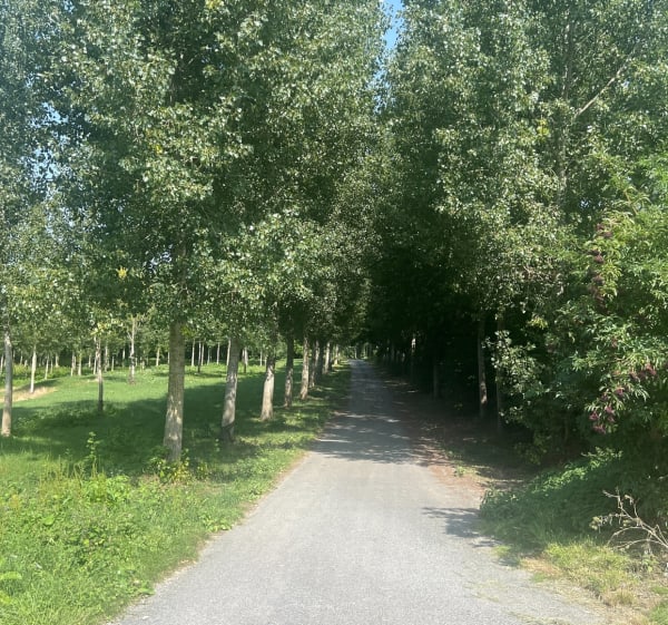 Balade entre champs et au bord de l’eau à Sancourt - Sancourt - 1