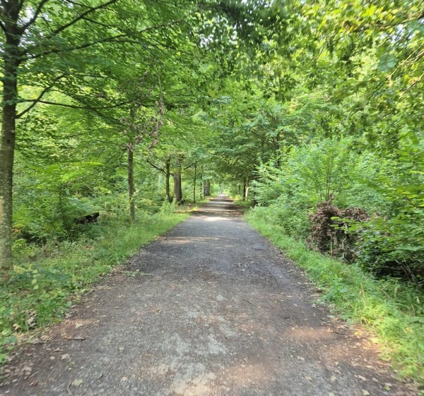Chemin vert mare à Goriaux et terrils de Raismes - Haveluy - 1