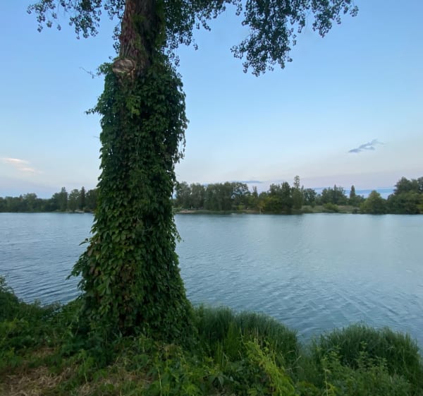 Boucle Chézenas / Limony - base nautique Saint-Pierre-de-Bœuf - Saint-Pierre-de-Bœuf - 1