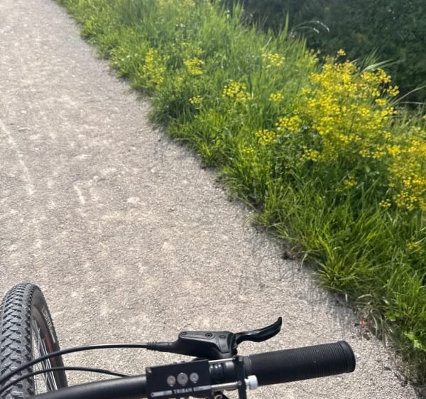 Remise en forme par l'allée du parc et un bout de cana à Chevigny - Chevigny-Saint-Sauveur - 1