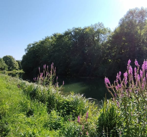 Belle Vue sur Dijon et la Vallée de l'Ouche - Marsannay-la-Côte - 1