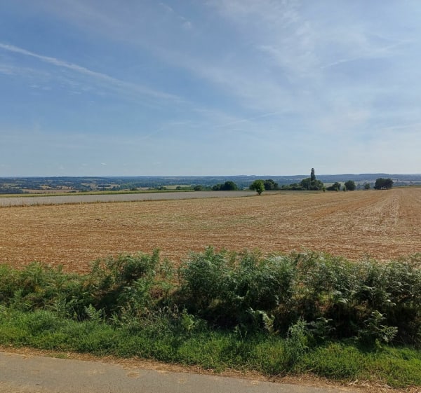Balade bucolique à Amné-en-Champagne - Amné - 1