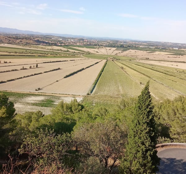 Étang de Montady, Oppidum Ensérune - Montady - 1