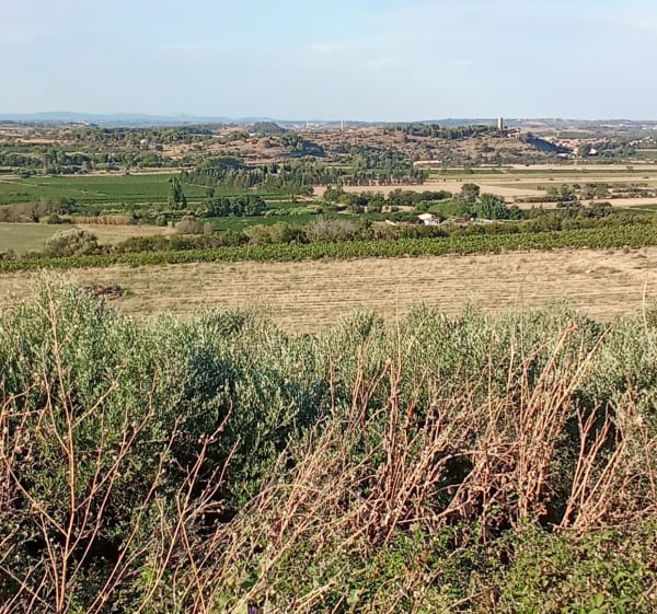 Étang de Montady, Oppidum Ensérune - LAURETTE - 1