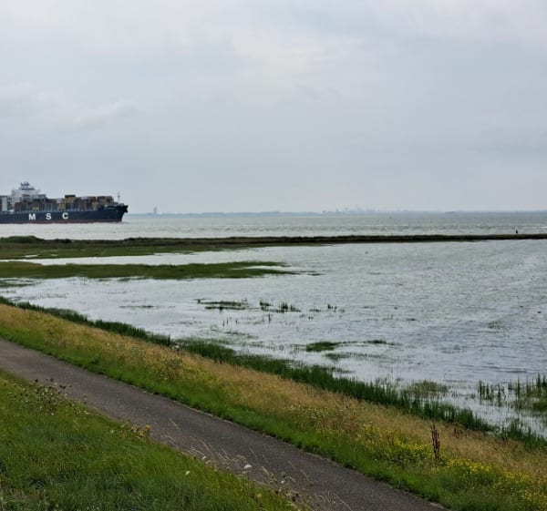 Rondje tourfiets - Hengstdijk - 1