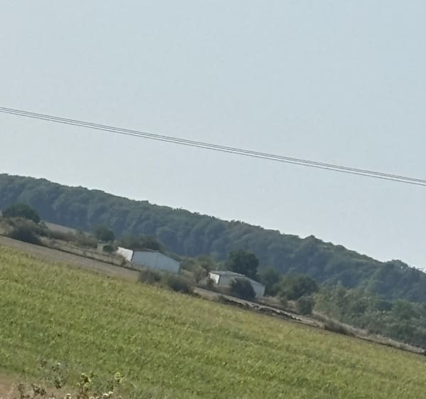 Bois de Bouligny - Jerome - 1