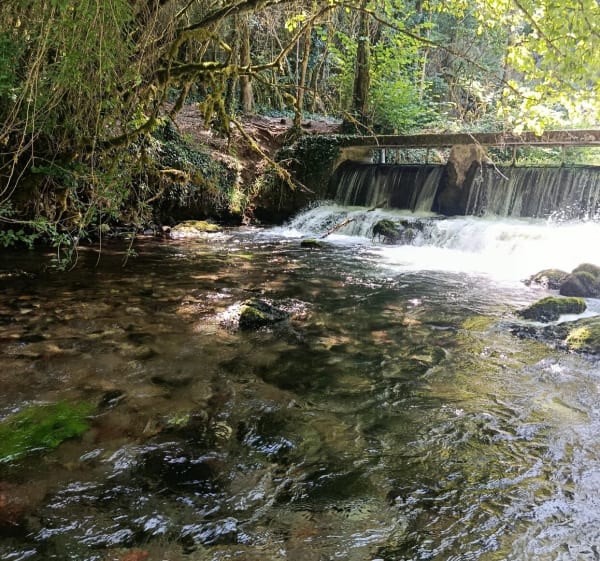 Source du Durzon - Nant - 1
