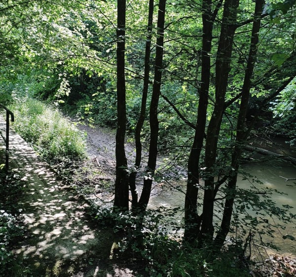 Villeneuve - Saint-Trivier à vélo - Villeneuve - 1