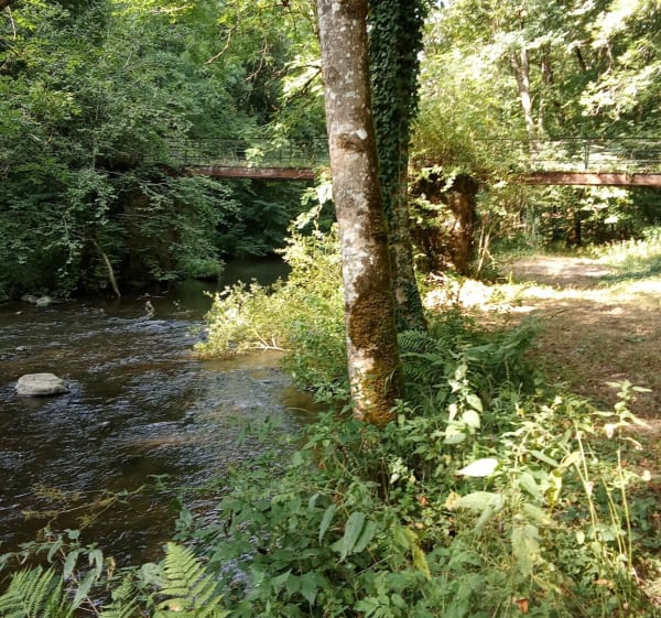 Sainte-Juliette-sur-Viaur e sa balade au bord de l'eau - Cassagnes-Bégonhès - 1