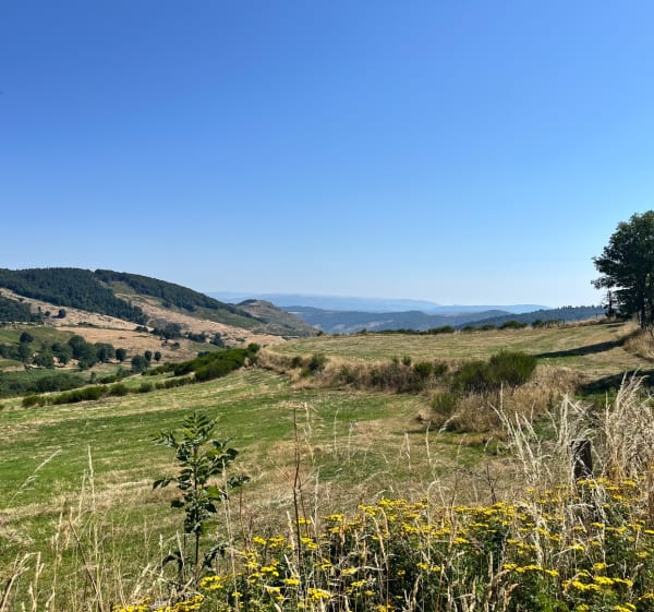 Vebron-Mont Aigoual - Vebron - 1