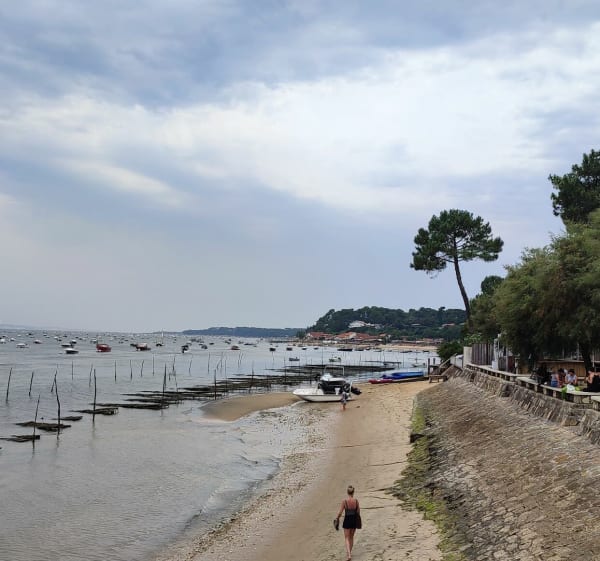 Le Canon / Pirraillan - Lège-Cap-Ferret - 1