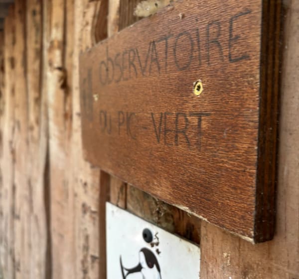 Domaine des oiseaux près de Mazères - Thibault - 1