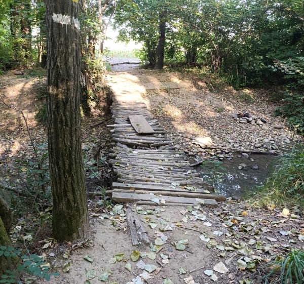 La Motte-de-Galaure à Mureils - Saint-Jean-de-Galaure - 1