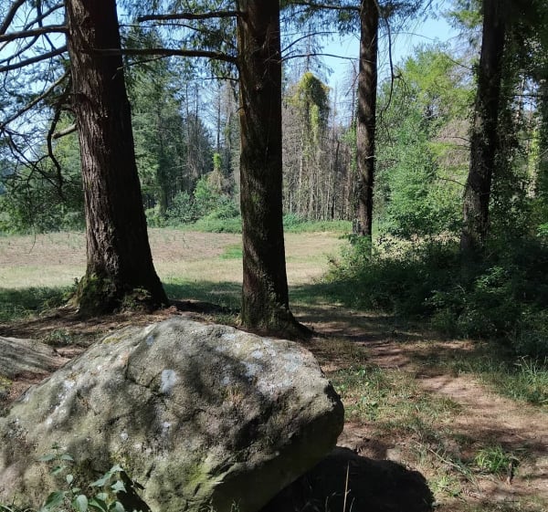 Lac de Lourdes et Golf - Lourdes - 1