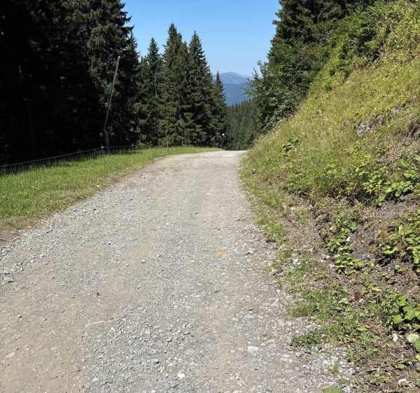 Très belle randonnée des Esserts, par Bergin - Morillon - 1