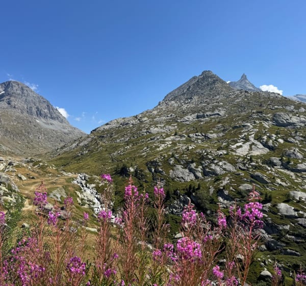 Du refuge du petit Mont Cenis au lac Savine - Val-Cenis - 1