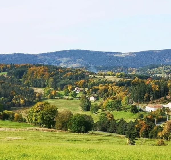 Promenade bucolique à Saint-Clément-de-Valorgue - Saint-Clément-de-Valorgue - 1