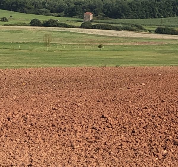 Belle randonnée forestière Biding - Cappel - Biding - 1