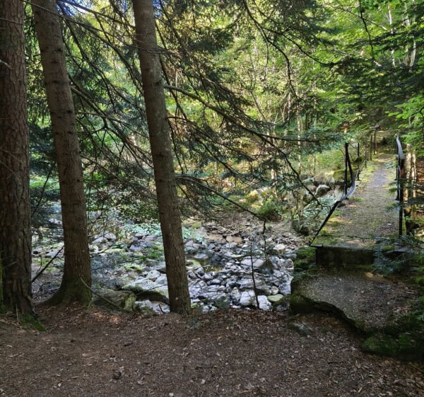Balade ombragée non loin de Chambon-sur-Lignon - Le Chambon-sur-Lignon - 1