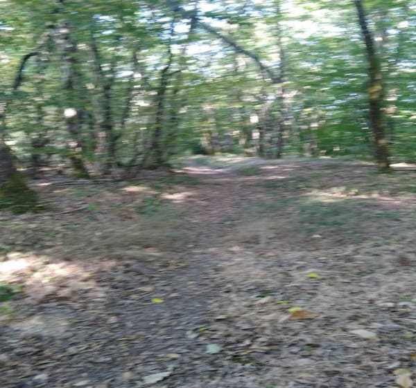 Rando variée entre Meobecq et Nuret le Ferron - Méobecq - 1