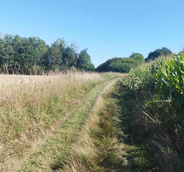 Neufvy sur Aronde/Moyenneville/Wacquemoulin - Neufvy-sur-Aronde - 1