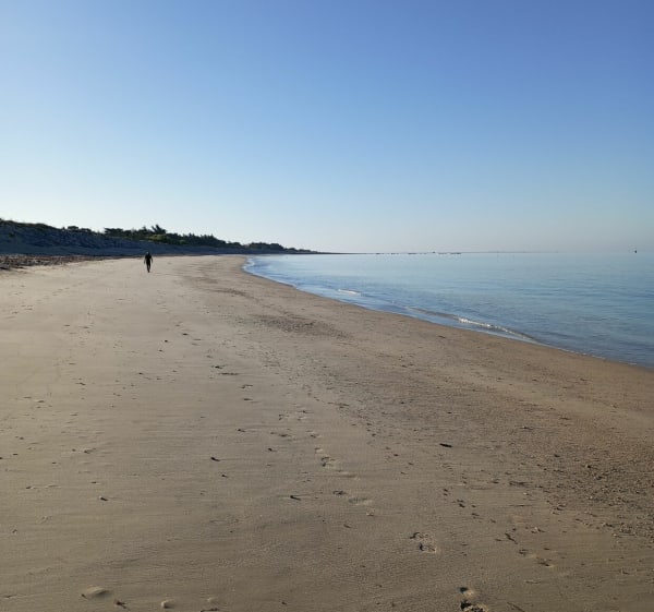 Pointe de Mousterlin - Johann - 1