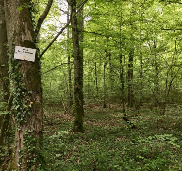 La villa gallo-romaine au départ de Grémecey - Grémecey - 1