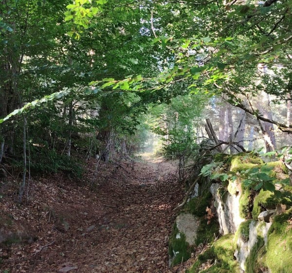 Le Cher commune de Sainte-Colombe-de-Peyre - Peyre en Aubrac - 1