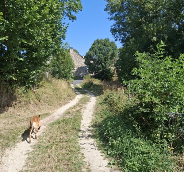 Randonnée de la Bessière - Peyre en Aubrac - 1